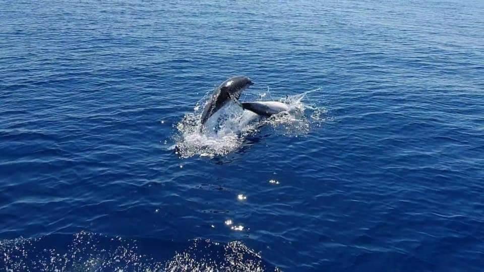 Dolcesosta B&B Marina Di Pulsano ภายนอก รูปภาพ